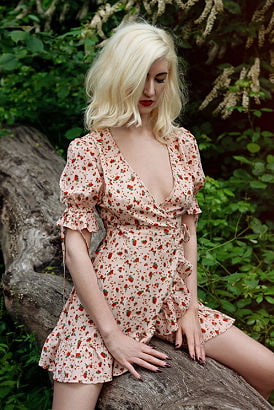 Elegant slim blonde Swedish girl in a pretty summer dress sitting on a felled tree trunk