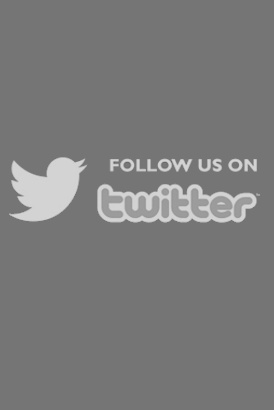Follow us on Twitter for all the latest news and views from EscortsMania.com